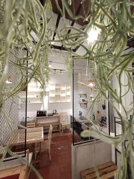 Unesco Bohemian Style Heritage House At 5br 14 Pax *